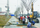 屏幕截圖 2025-04-15 102008.png